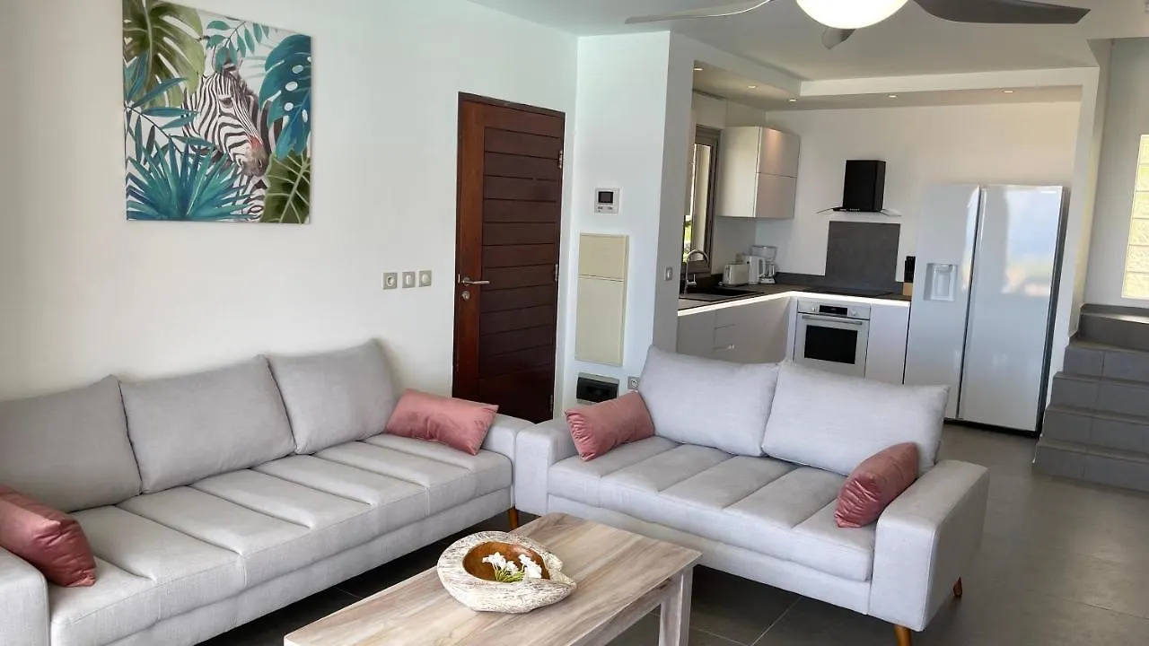 Villa Thomarine Piscine-Privee Orient-Bay Quarter of Orleans